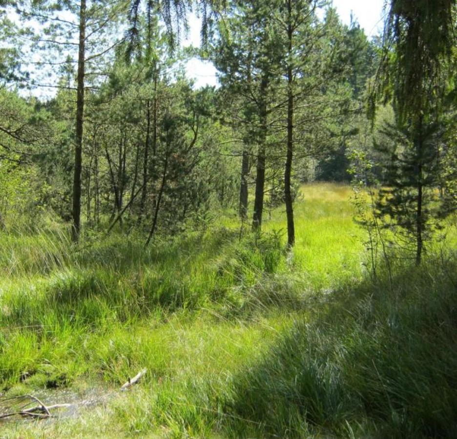 Haus Beate, Fewo Im Bienenparadies Kirchberg  Екстер'єр фото